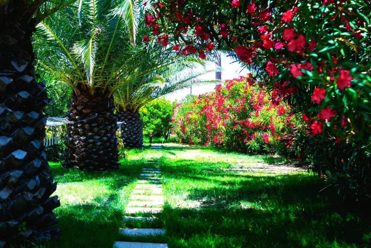 Ancient Meropia - Les Jardins Des Muses Apollonia  Bagian luar foto